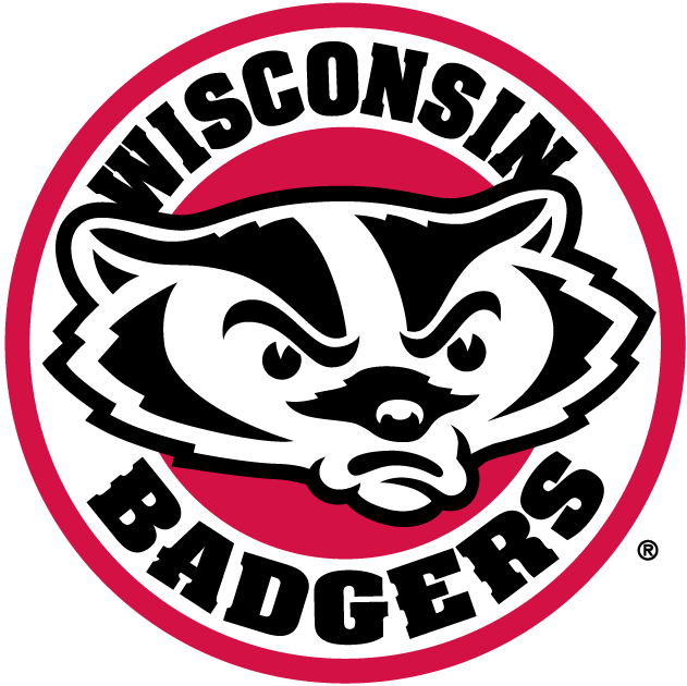 Wisconsin Badgers 2002-Pres Alternate Logo v2 iron on transfers for clothing
